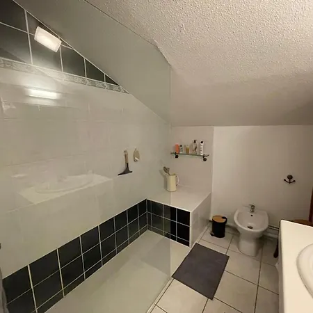 Apartment Spacieux Duplex En Centre-ville Avec Parking Et Animaux Acceptes - Fr-1-413-254 *