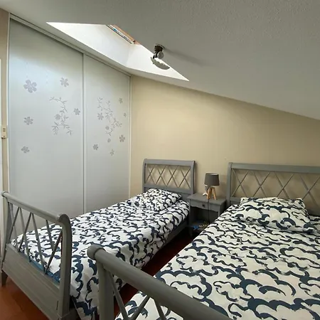 Spacieux Duplex En Centre-ville Avec Parking Et Animaux Acceptes - Fr-1-413-254 Capbreton