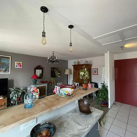 Spacieux Duplex En Centre-ville Avec Parking Et Animaux Acceptes - Fr-1-413-254 Apartment