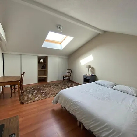 Spacieux Duplex En Centre-ville Avec Parking Et Animaux Acceptes - Fr-1-413-254 Capbreton